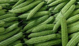 5.1吃瓜网官网,揭秘娱乐圈最新热点，带你畅游八卦海洋