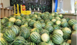 娱乐718吃瓜速看天气,吃瓜速看，天气与娱乐圈的奇妙碰撞