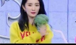 娱乐吃瓜放屁酱,揭秘娱乐圈那些不为人知的幕后故事