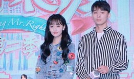 娱乐圈吃瓜宝典400页,400页吃瓜宝典深度解析